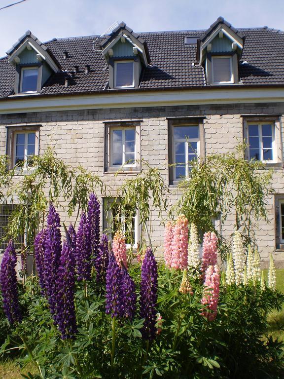 Chambres D'Hotes Le Clos Des Lesses Fresse-sur-Moselle Екстериор снимка